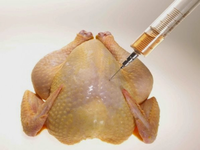 Resultado de imagen para foto resistencia a los antibioticos pollos