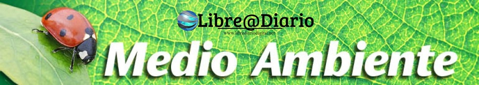 Medio@Ambiente