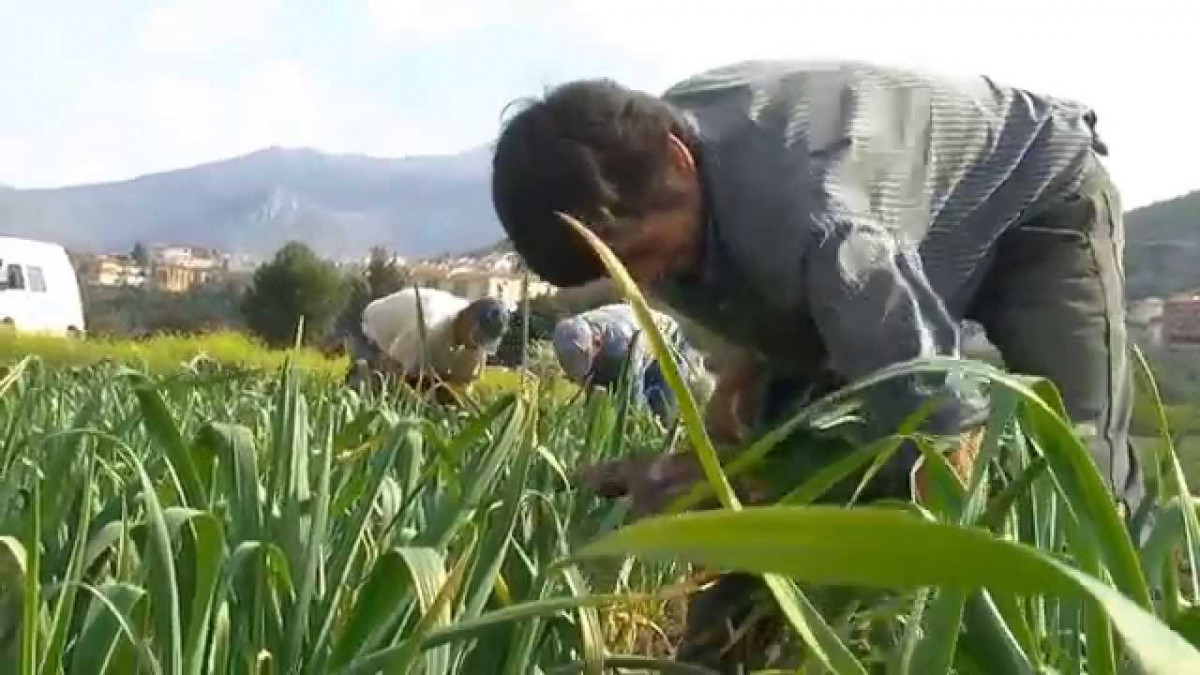 Agricultura