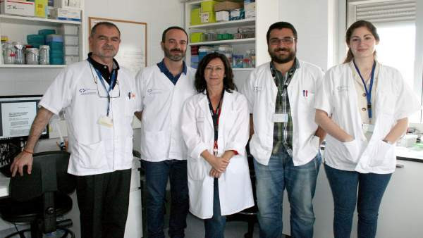 INVESTIGADORES