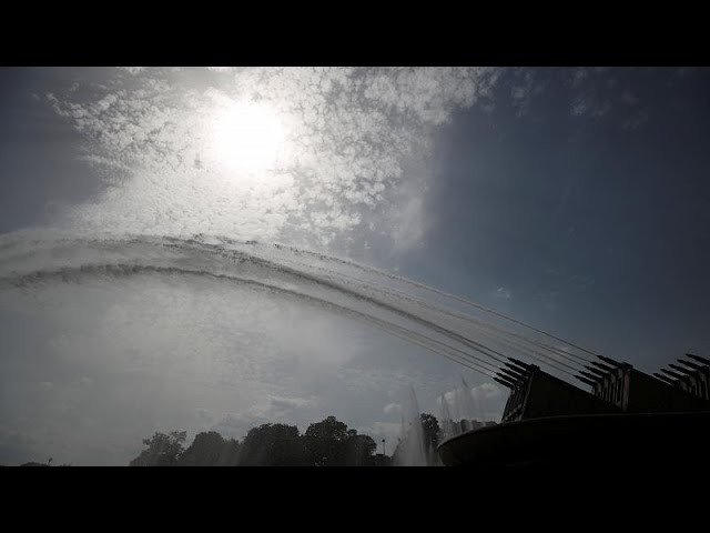 La ola de calor hace estragos en el campo europeo