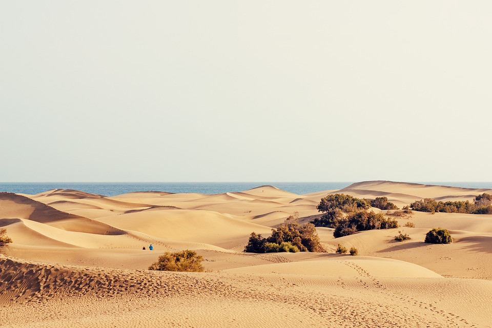 DUNAS