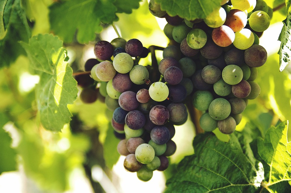 UVAS
