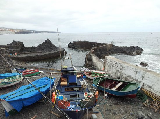 Cofradia Pescadores Muelle Punta del Hidalgo Tenerife