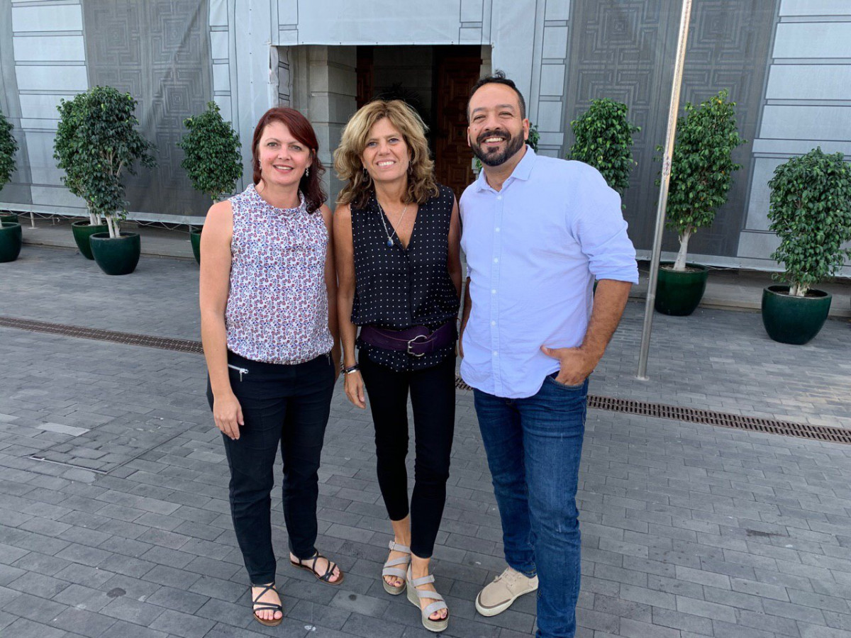 Grupo Su00ed Podemos Canarias en el Cabildo Insular de Tenerife