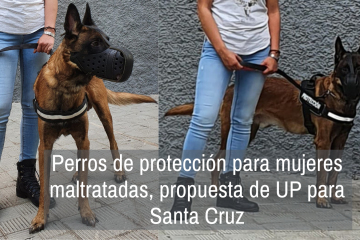 Perros de protección para mujeres maltratadas, propuesta de UP para Santa Cruz