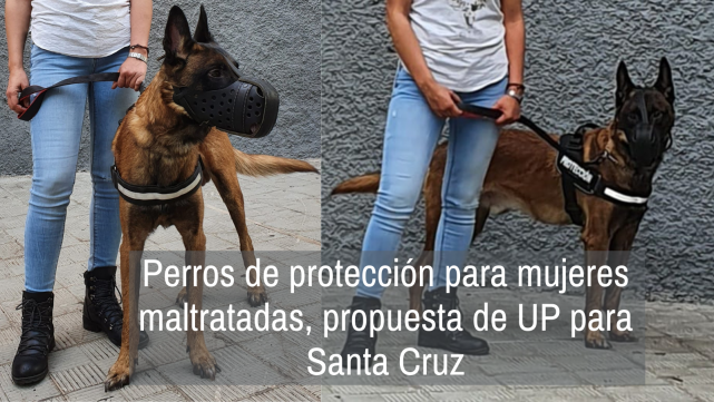 Perros de protección para mujeres maltratadas, propuesta de UP para Santa Cruz