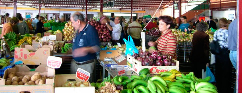 Mercadillotacoronte