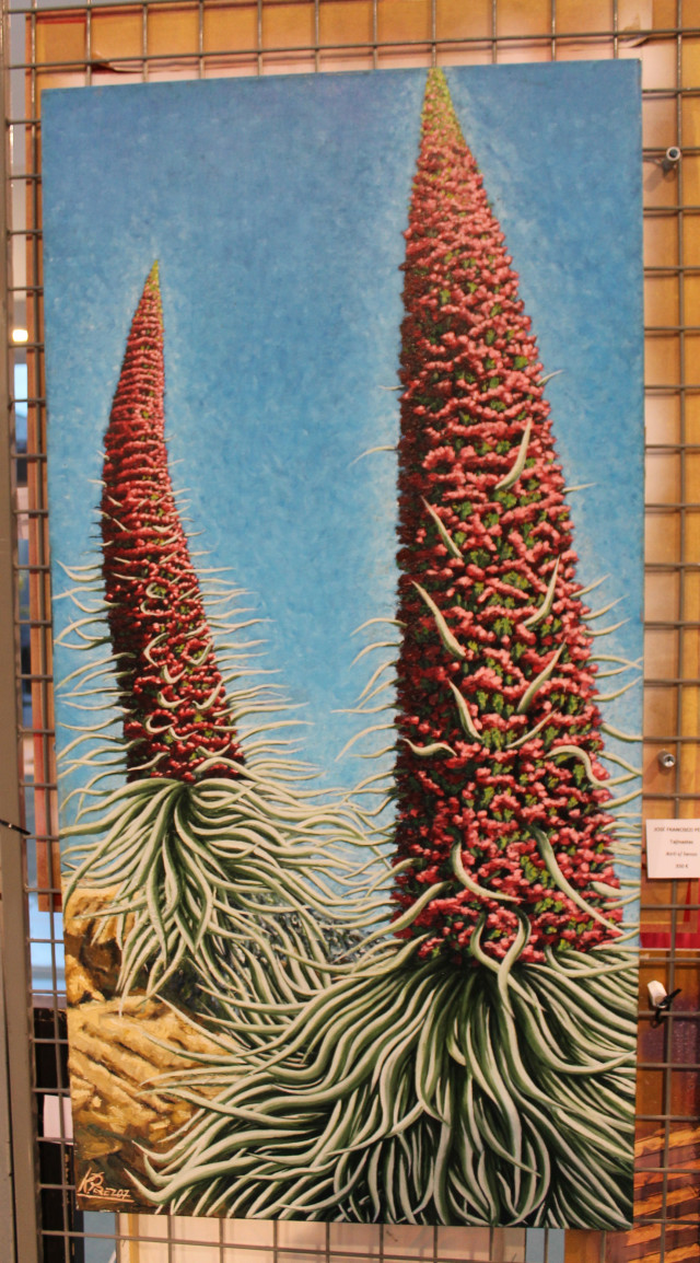 IMG 3591