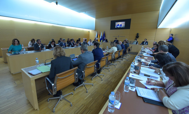 Pleno28octubre2016