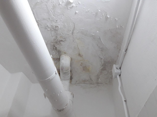 Photo 20180531 143406