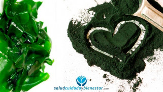Beneficiosypropiedadesdelaespirulinaecologica