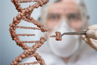 Científicos descubren el error genético que nos convirtió en humanos
