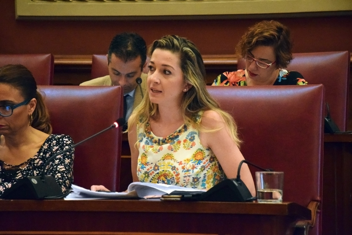 TRG290618pleno ayuntamiento3