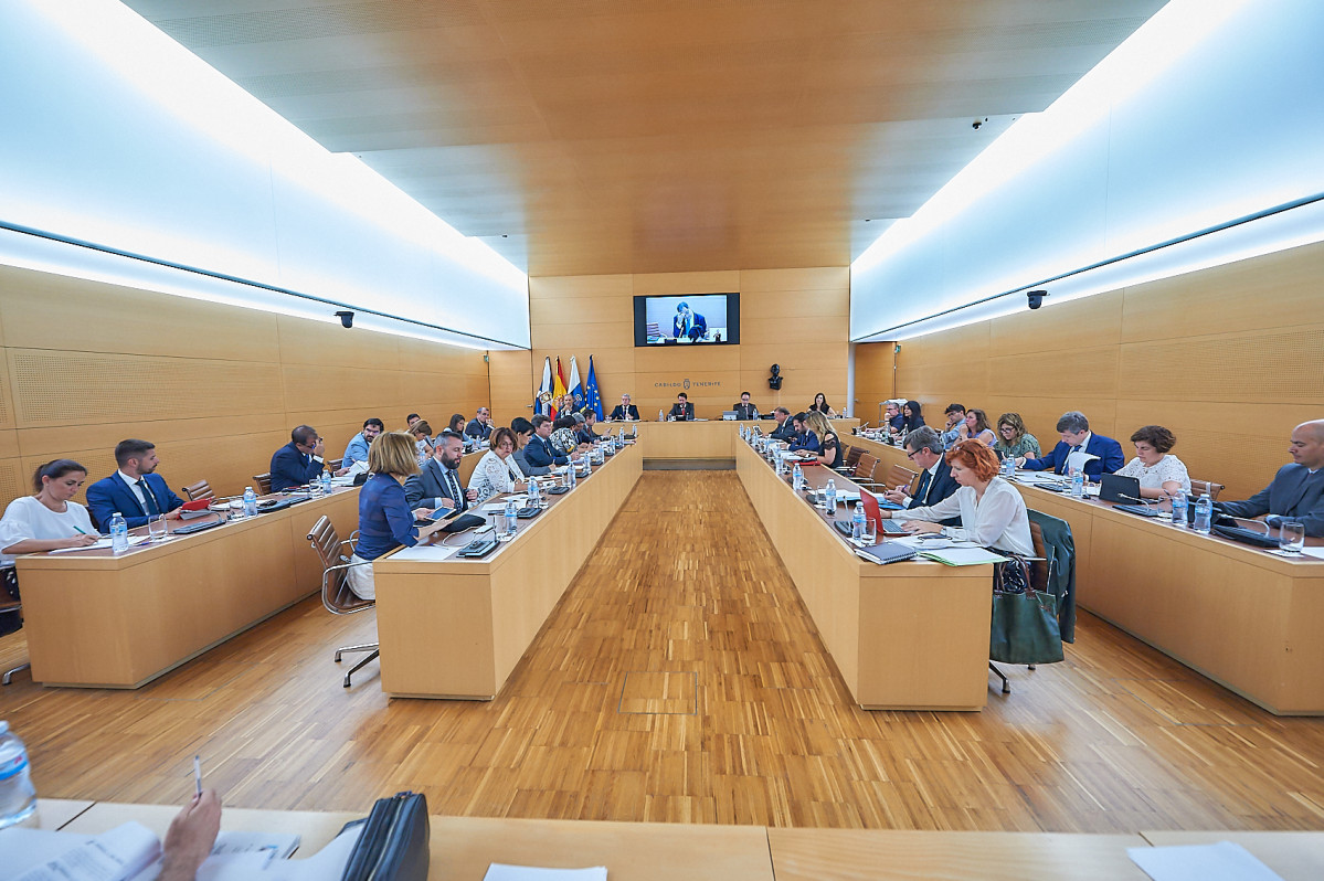 Cabildo Pleno 29 de junio de 2018 (2)