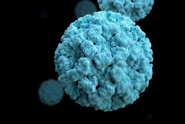NOROVIRUS