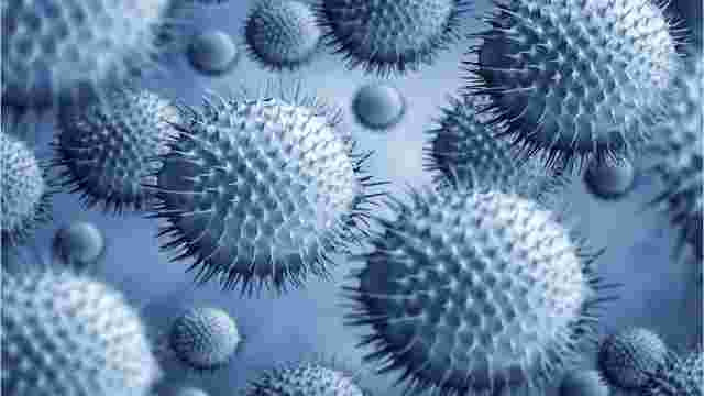 NORO VIRUS