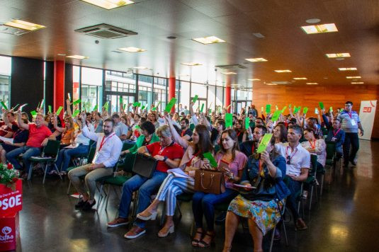 Comiteu0301 Insular PSOE TFE 2018