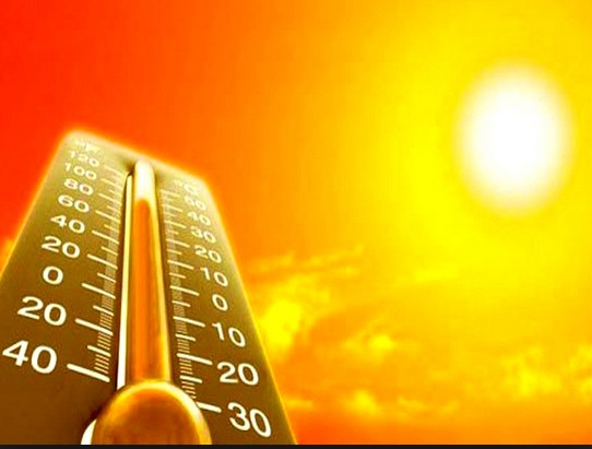 Temp