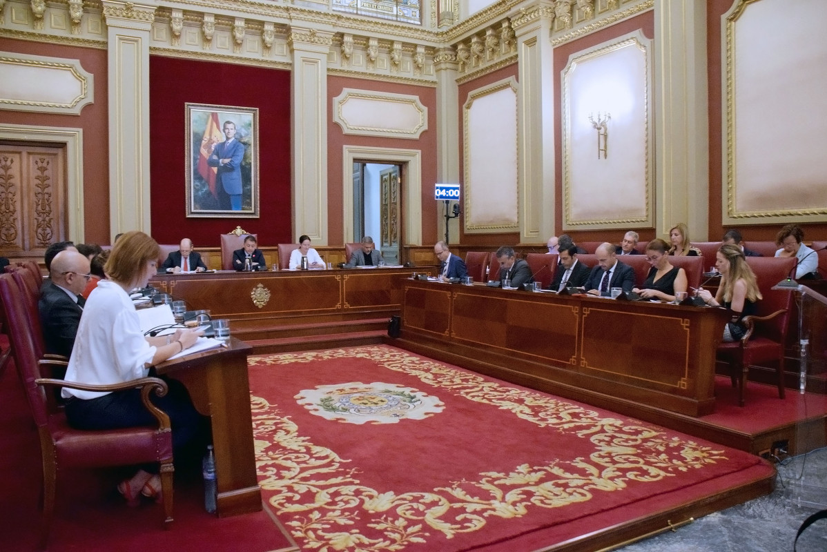 TRG 180718pleno ayuntamiento8