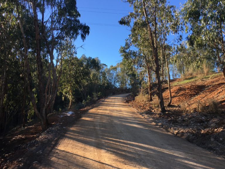 Camino Montau00f1a Firgas 2 768x576