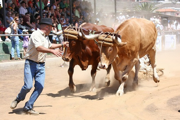 ARRASTRE