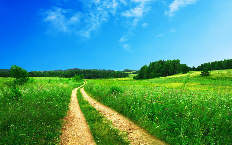 Footpath 691021 1920