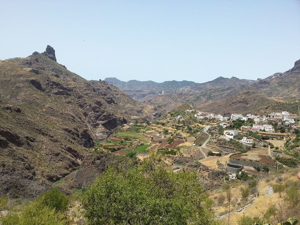 TEJEDA