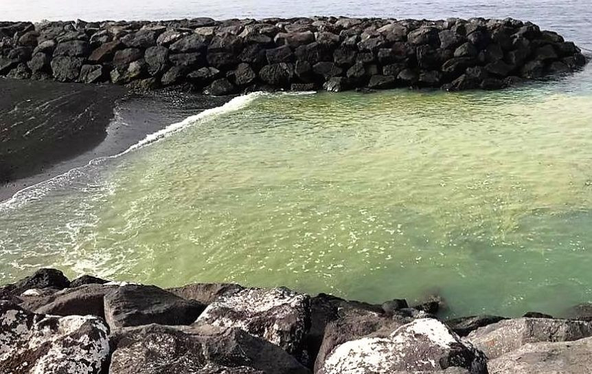 Cianobacterias Radazul 862x544