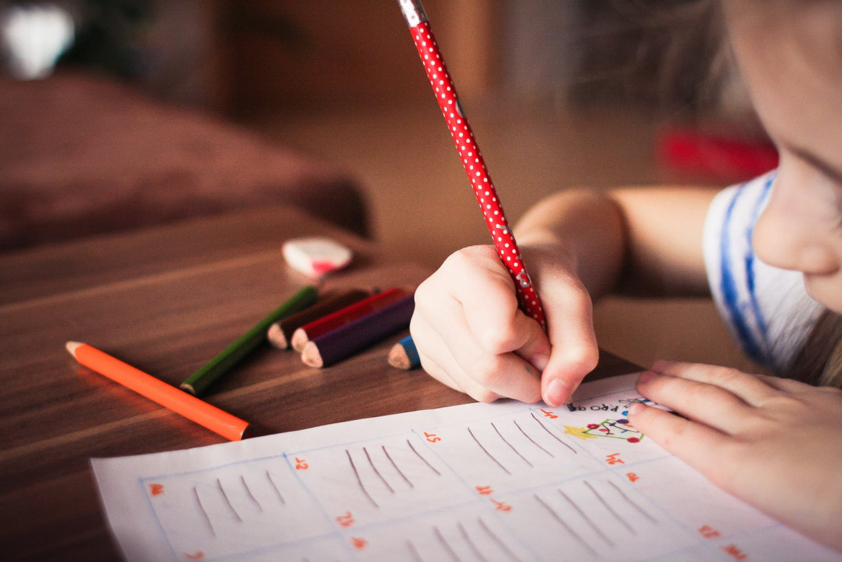 EDUCACION
