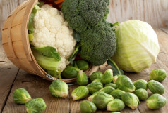 VERDURAS