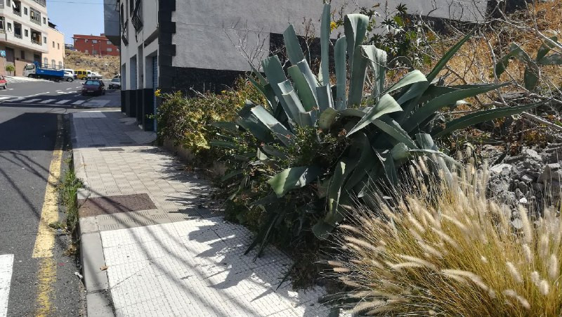Calle del Rosario 5