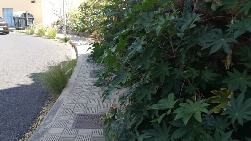 Calle del Rosario 7