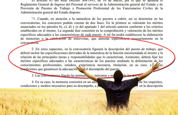 Alfinunasbasesdeverdad