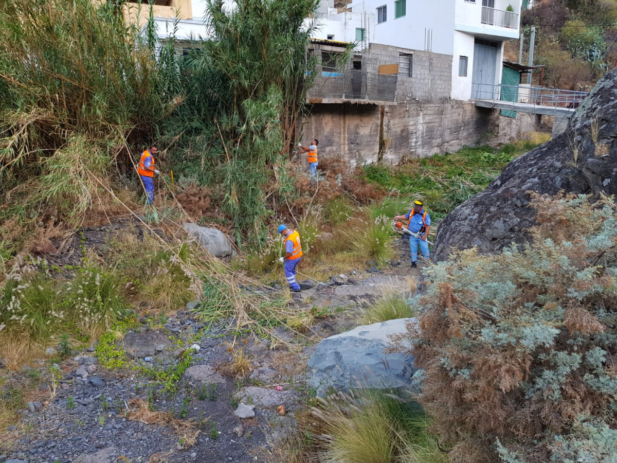 Limpieza Barranco7