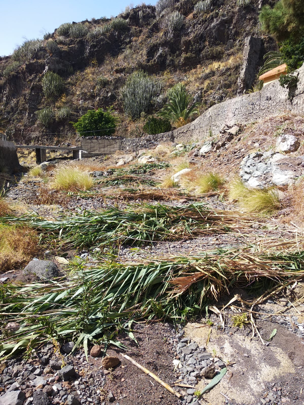 Limpieza Barranco2