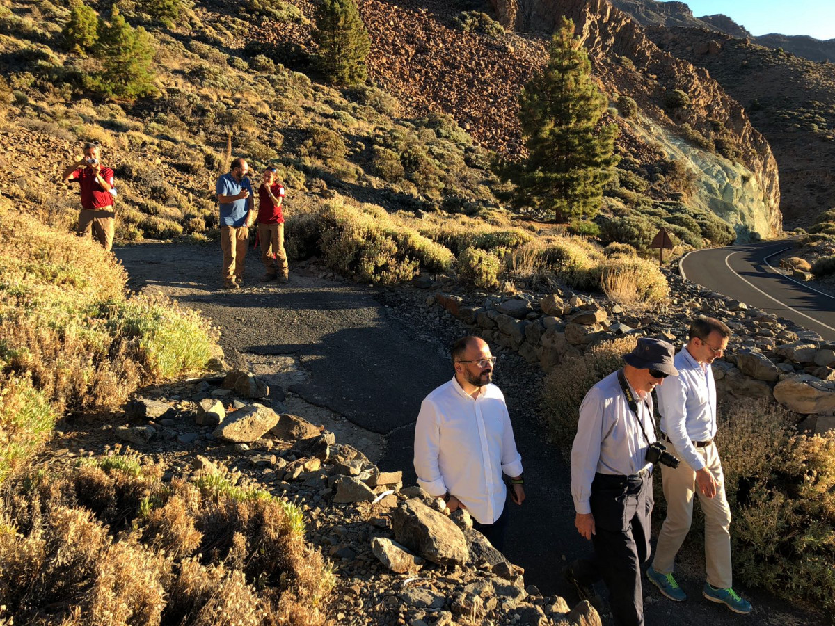 Teide 1