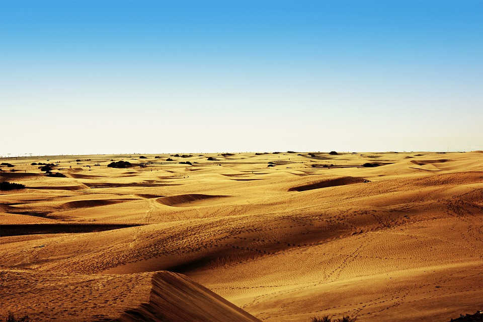 DUNAS CORRALEJO