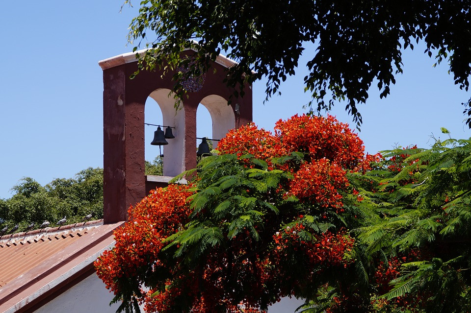 SANTA CRUZ