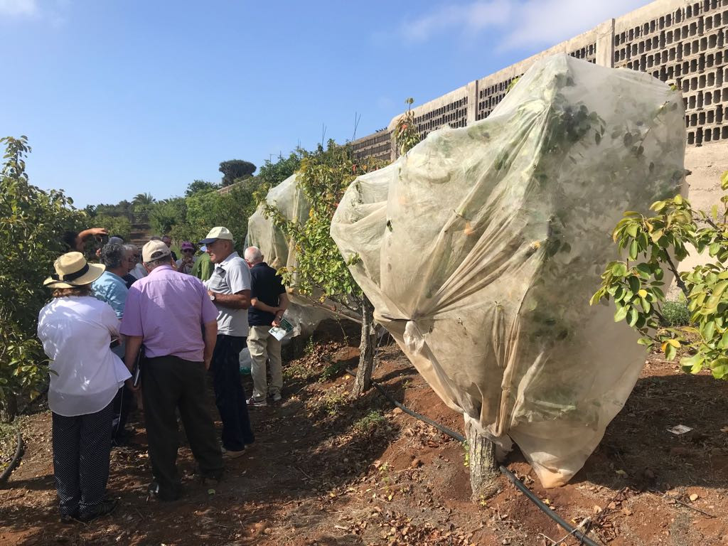Agricultura mantas tu00e9rmicas