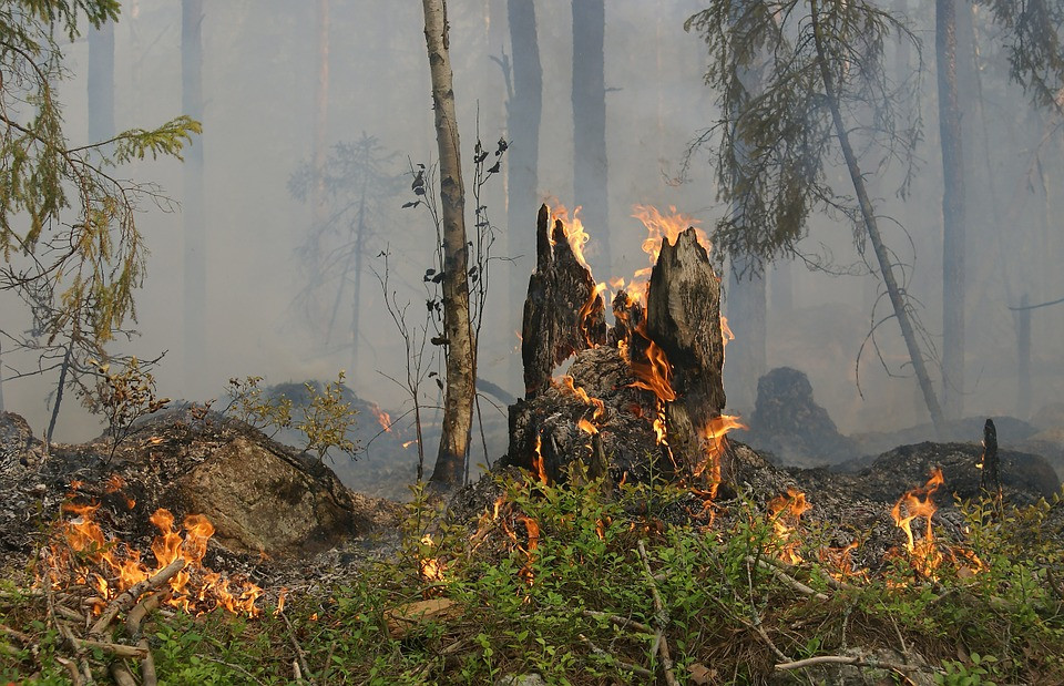 INCENDIO