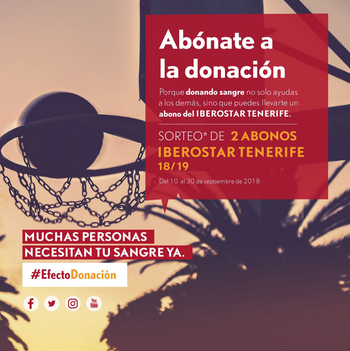 Campau00f1a ICHH Iberostar