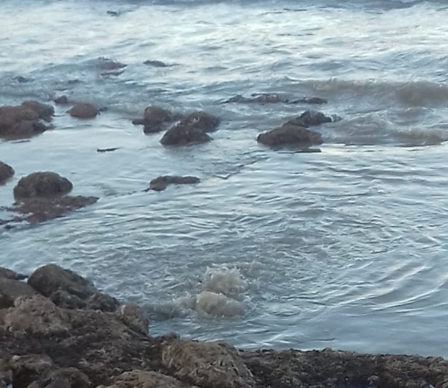 Vertidos el medano