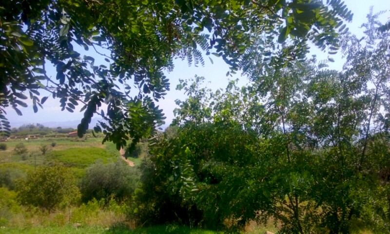Pre