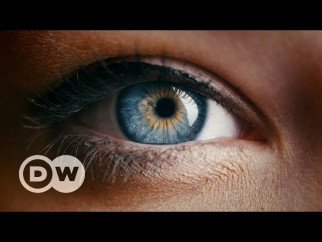Generación de miopes | DW Documental