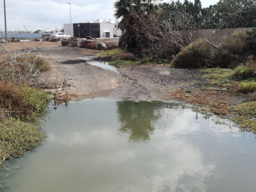 Vertido de aguas fecales en la trasera del residencial Marcastell (Imagen tomada por Cs) (1)