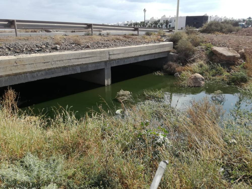 Vertido de aguas fecales en la trasera del residencial Marcastell 2 (Imagen tomada por Cs)