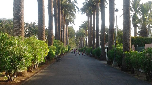 CAMINO LARGO