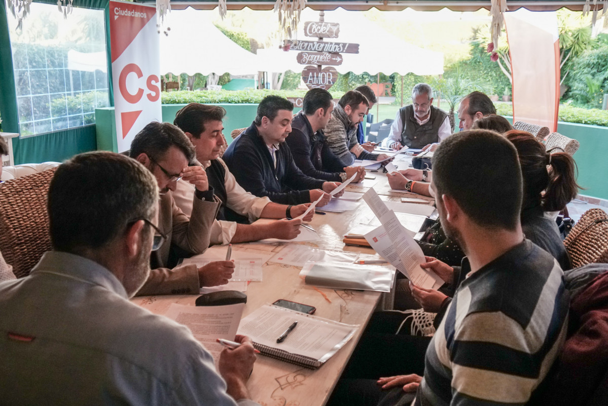 Asamblea insular Cs Tenerife