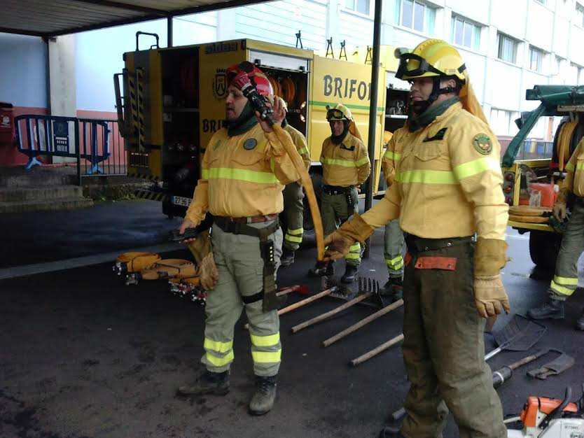 Programa Incendios BRIFOR